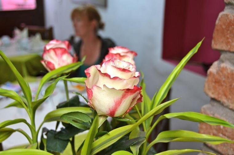 Casa De Las Rosas Cuenca Szoba fotó